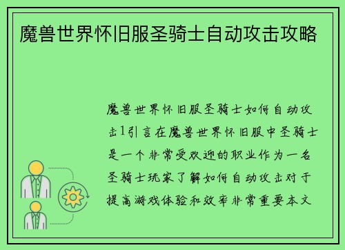 魔兽世界怀旧服圣骑士自动攻击攻略